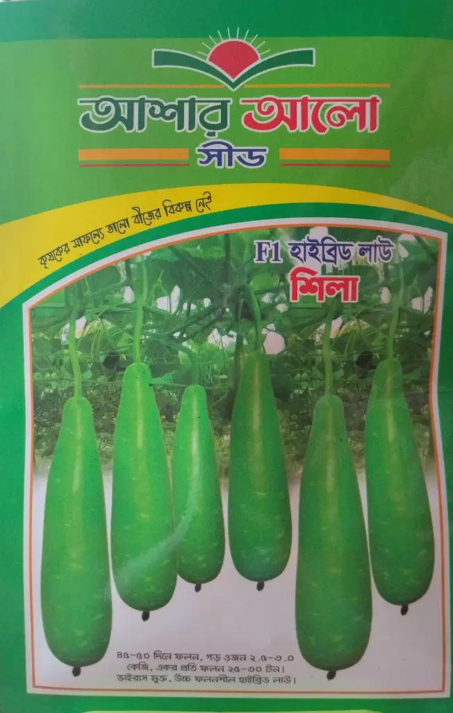 F1 হাইব্রিড শিলা লাউ