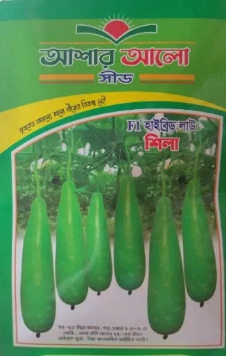 F1 হাইব্রিড শিলা লাউ