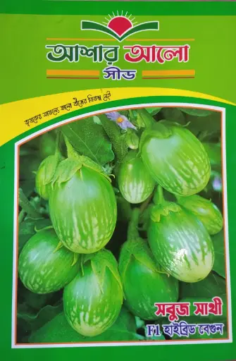 Fl  হাইব্রিড বেগুন সবুজ সাথী